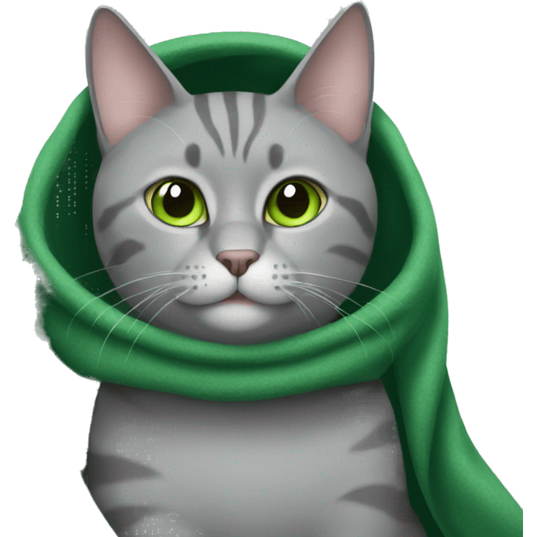 gray cat with a green blanket emoji