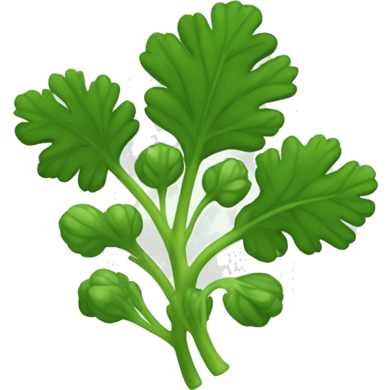 Cilantro emoji