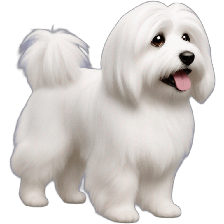 coton de tulear walking emoji