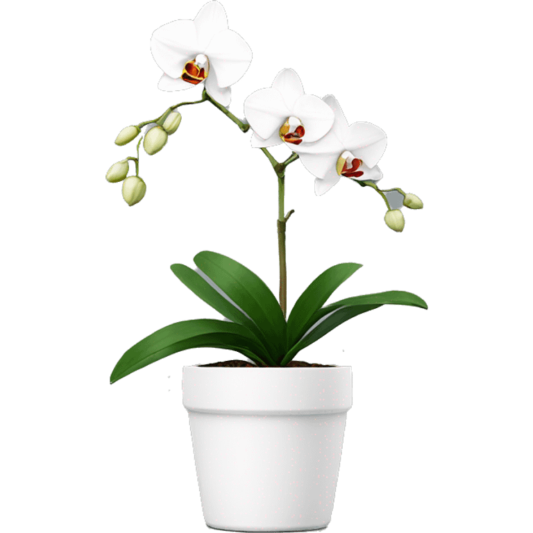 Minimal white single orchid in pot emoji