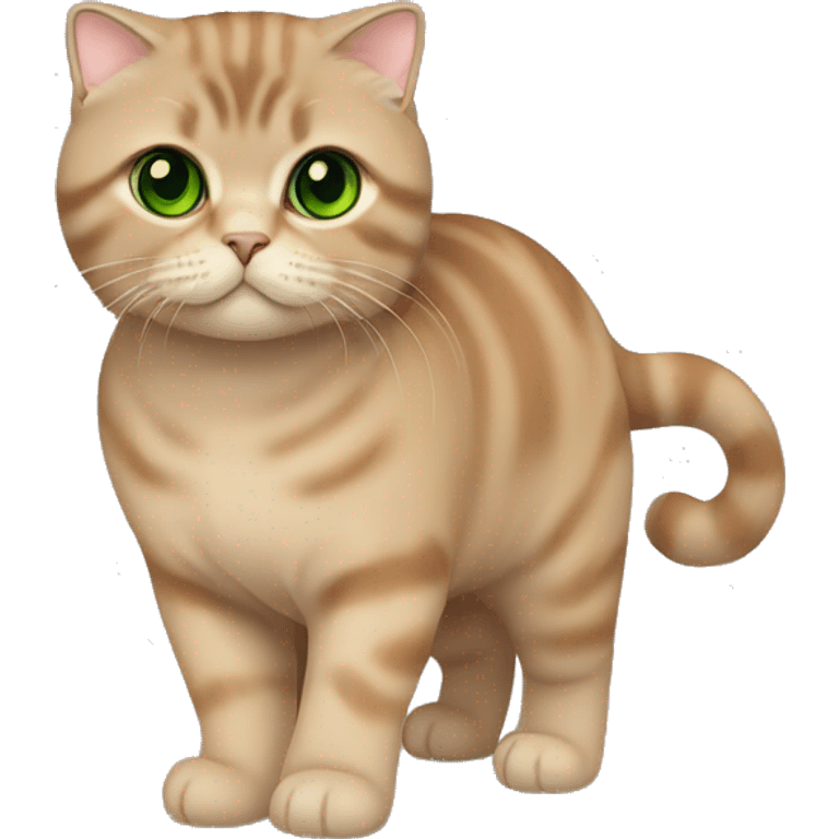 Brown Scottish fold cat with green eyes full body emoji