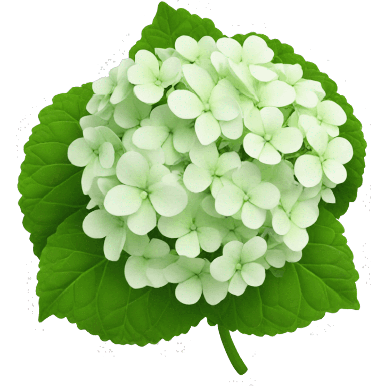 hydrangea emoji