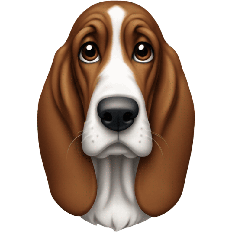 Texans fan basset hound emoji