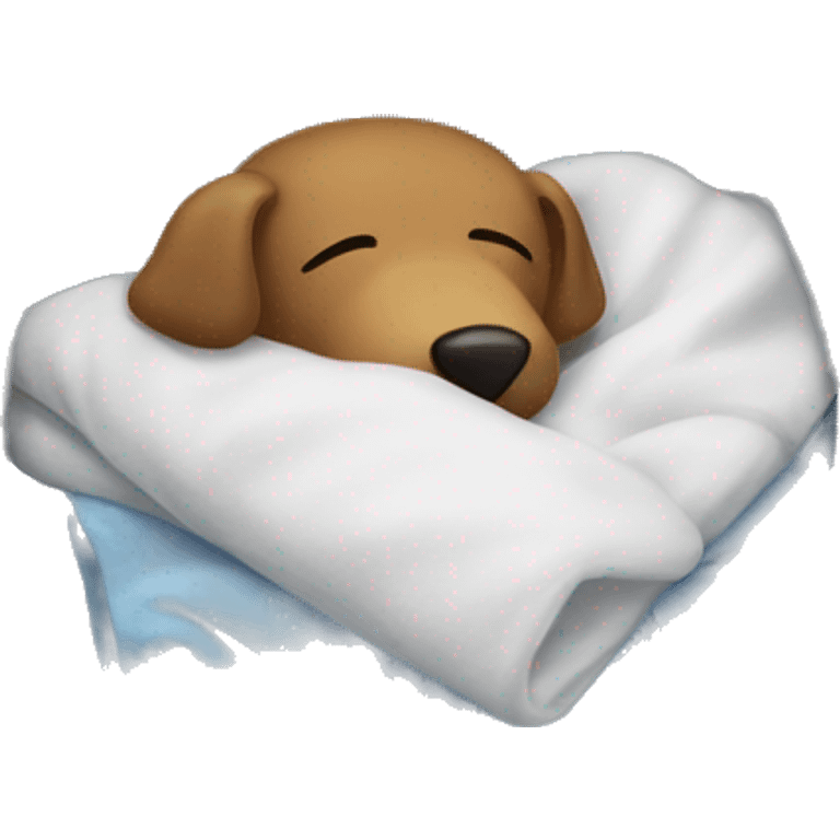 Sleeping on laundry  emoji