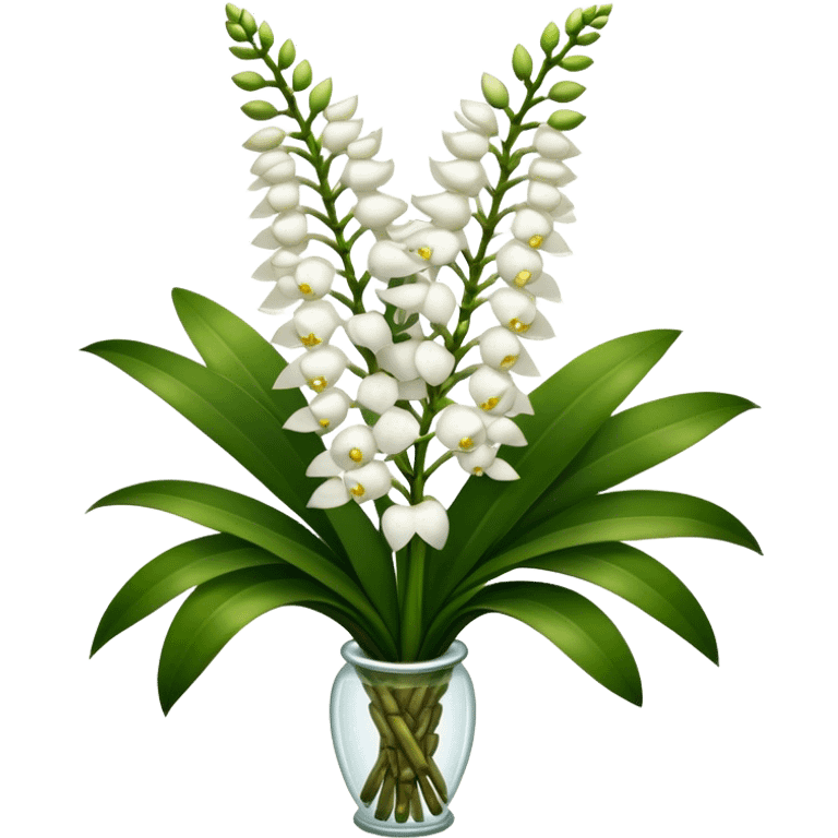 super big bouquet white Rhynchostylis Orchid, stem, leaf emoji