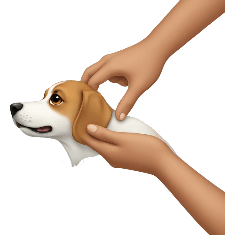 Human hands on a dog healing emoji