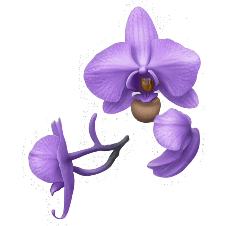 orchidea blu  emoji