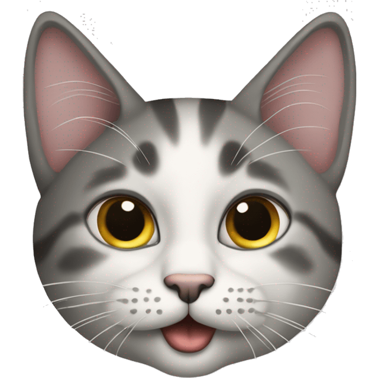 Zwei graue katzen die sich anfauchen emoji