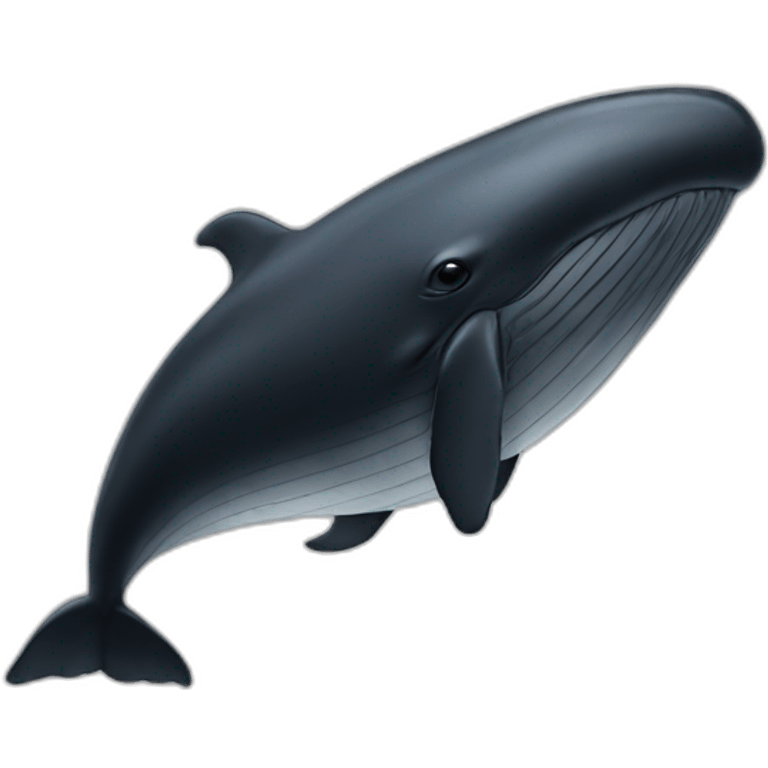 black-whale-in-white-hat emoji