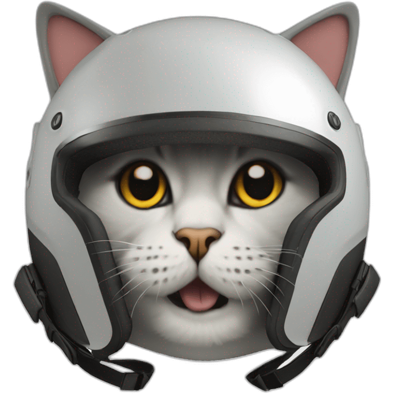 cat motorcyle helmet emoji