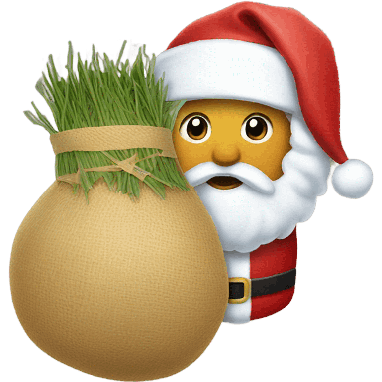 Doy with a santa claus hay emoji