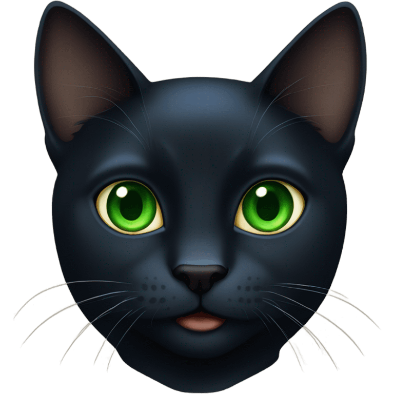 black cat green eyes blue collar emoji