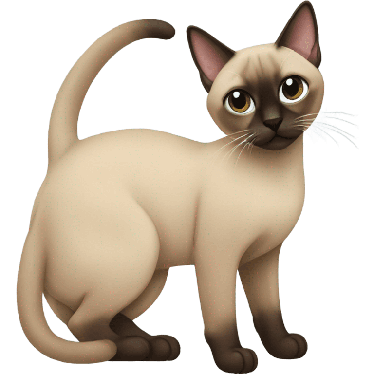 a tonkinese cat with a dreid emoji