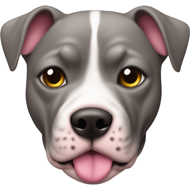 Perro pitbul con manchas grises en la cara con lazo rosa  emoji