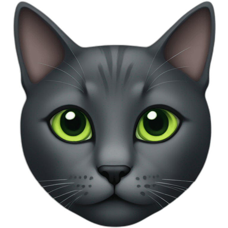 Dark gray cat green eyes emoji