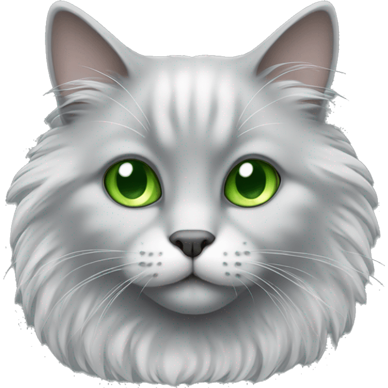 Fluffy grey cat with white chest and green eyes  emoji