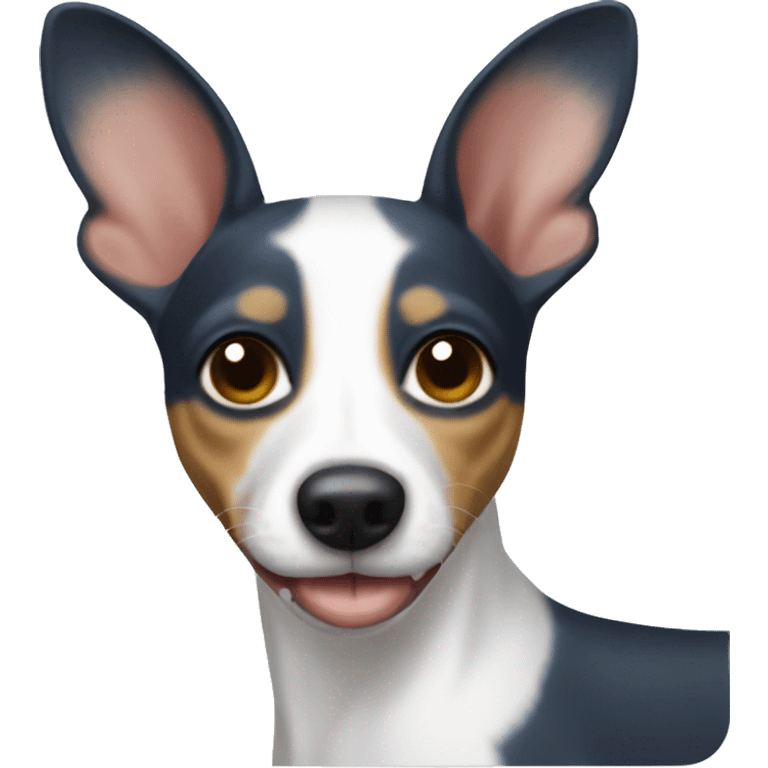 Tri blue rat terrier emoji