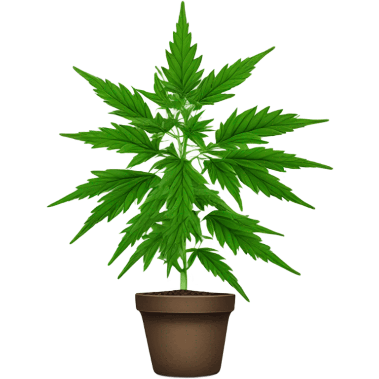 Potted Indica cute  emoji