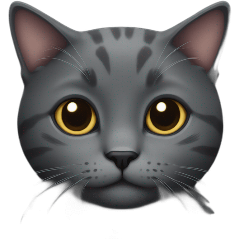 Cute dark grey cat, not fat emoji