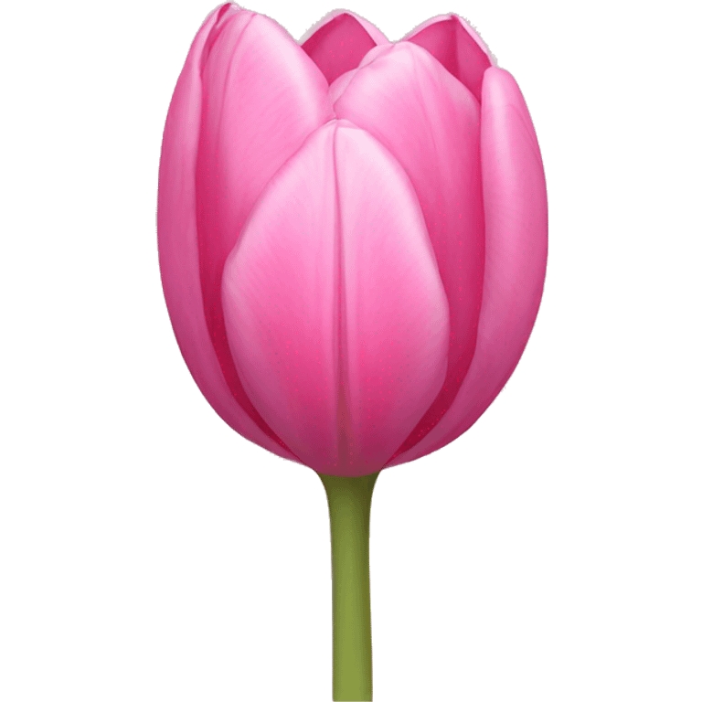 a pink tulip emoji