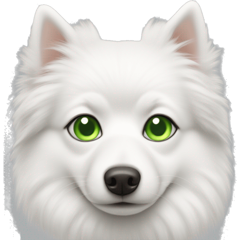 white spitz with green eyes emoji