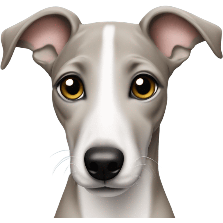 Whippet puppy emoji