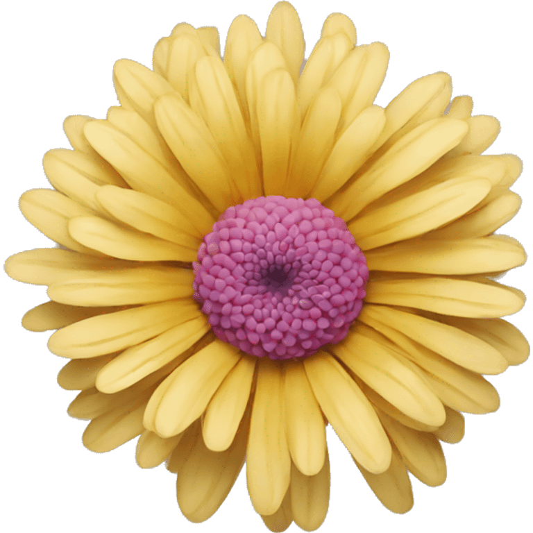 chrysanthemum flower emoji