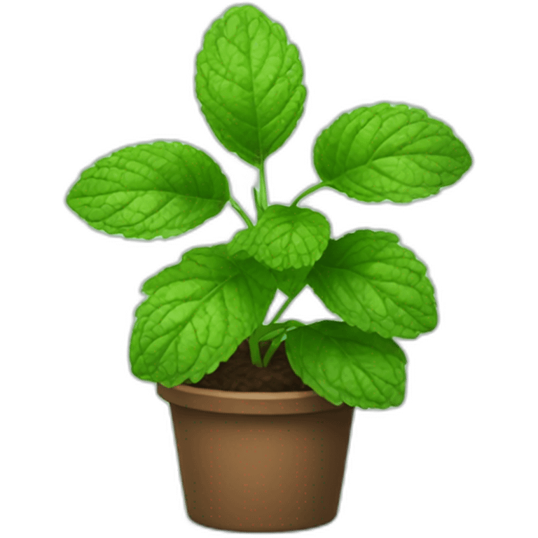 mint plant emoji