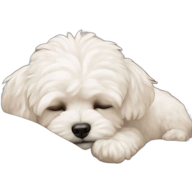 a white maltipoo sleeping in bed emoji