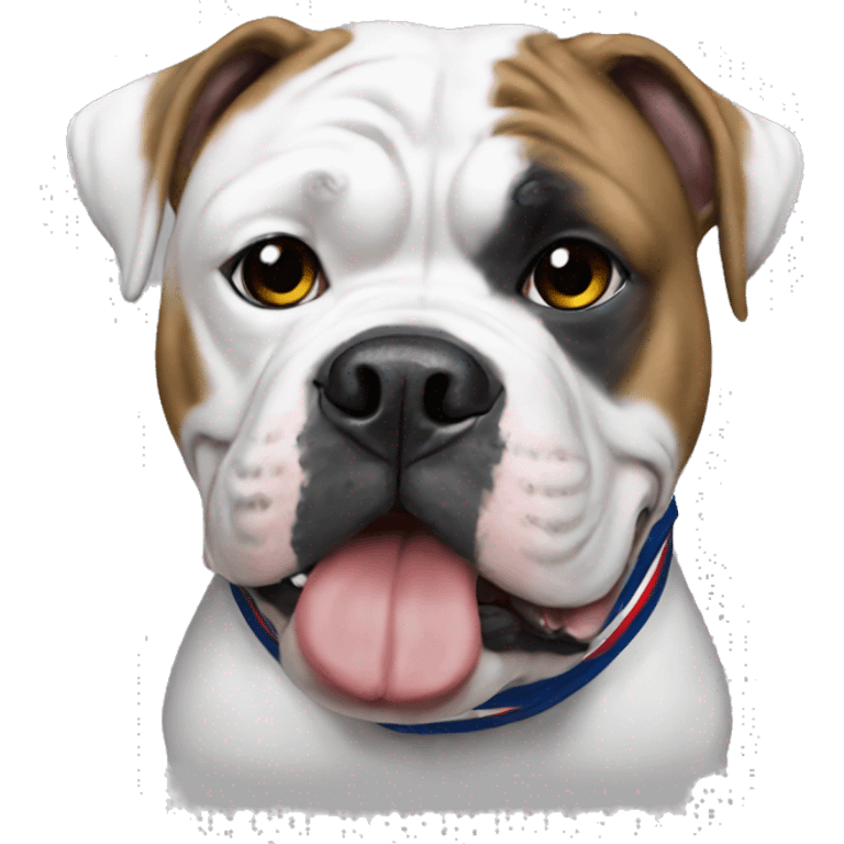 American bulldog with New England Patriot shirt emoji