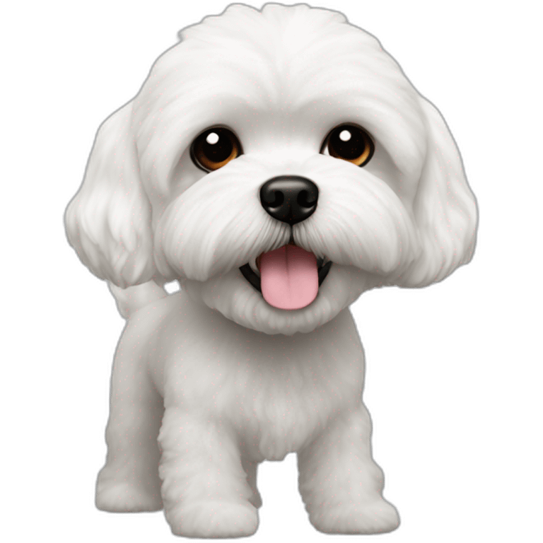 Bichon shihtzu poodle small snout white with black eyes and nose emoji