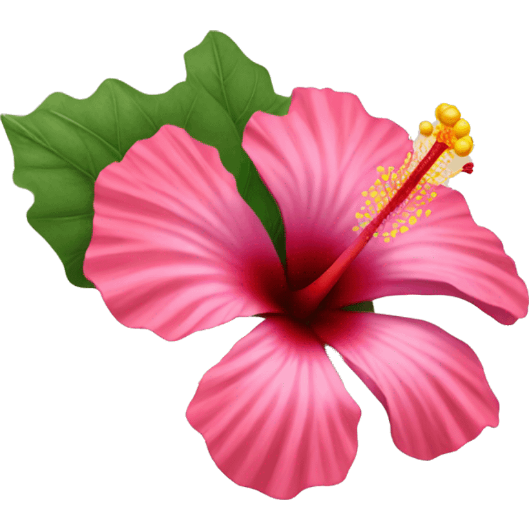 hibiscus flower emoji