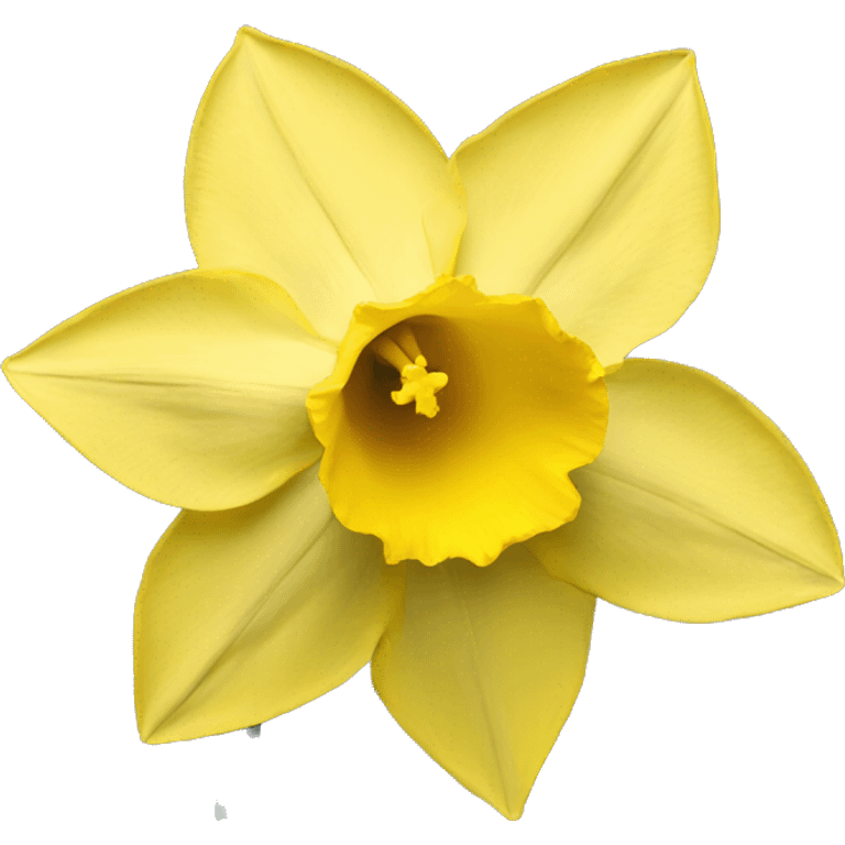 daffodil flower  emoji