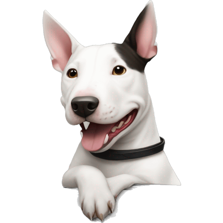 White bull terrier driving tesla emoji