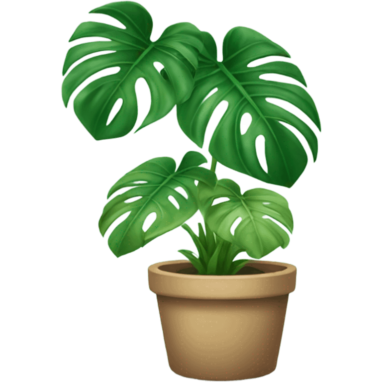 Monstera plant emoji