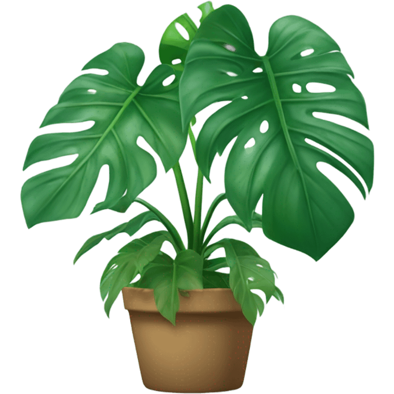 Monstera Plant emoji