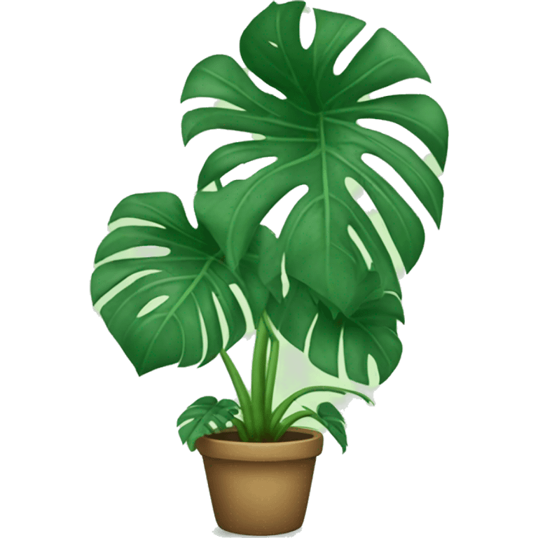 monstera plant emoji