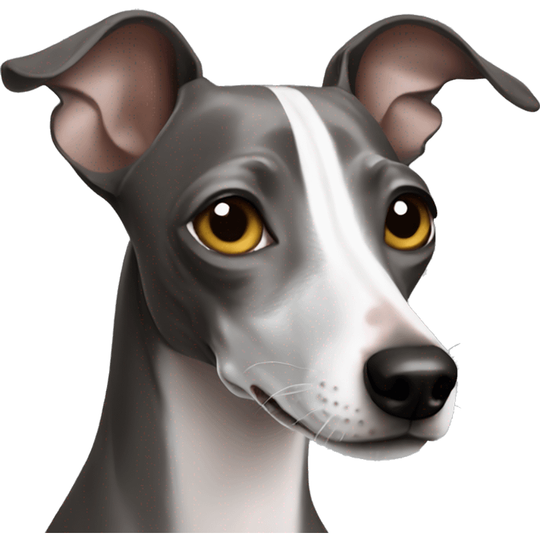 Italian greyhound  emoji