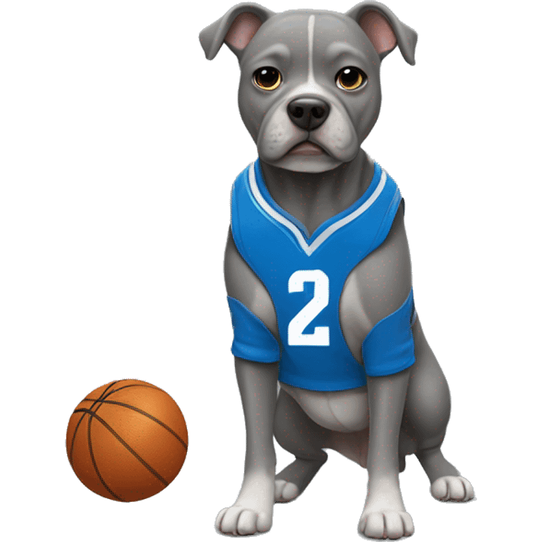 Gray Micro bully dog wearing a blue basketball jersey  emoji