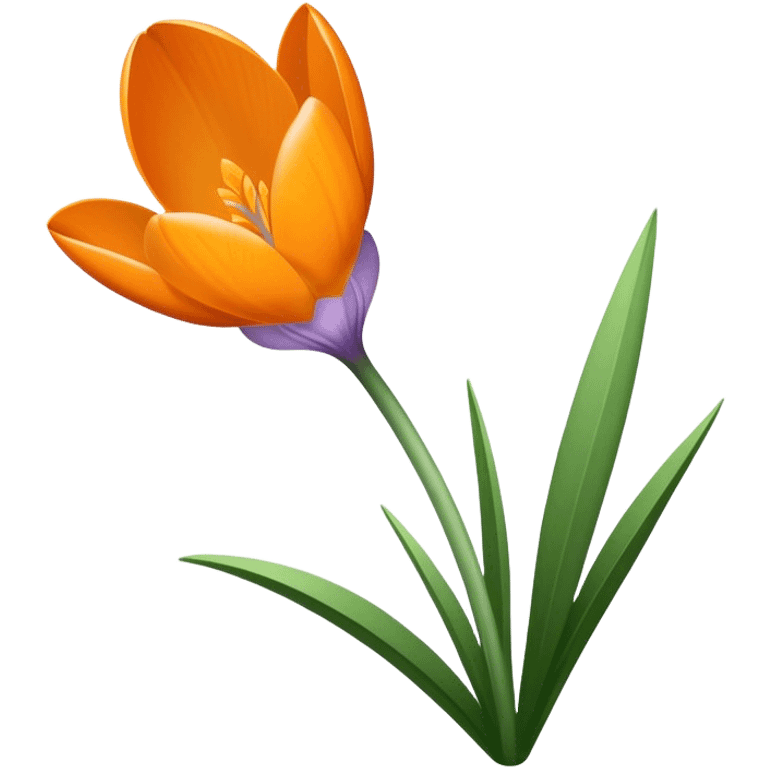 single Crocus Orange, straight stem emoji