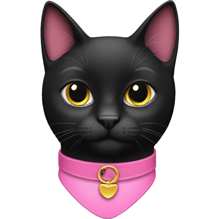 Black cat pink collar  emoji