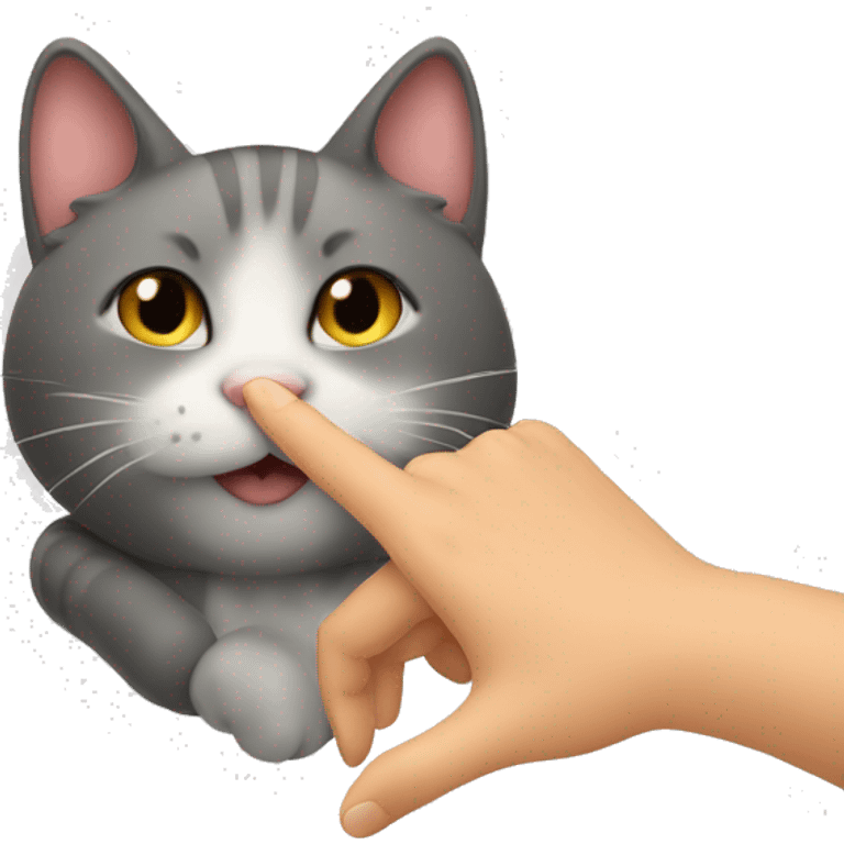 Hand touching a cat, a boop emoji