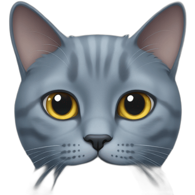 British blue cat emoji