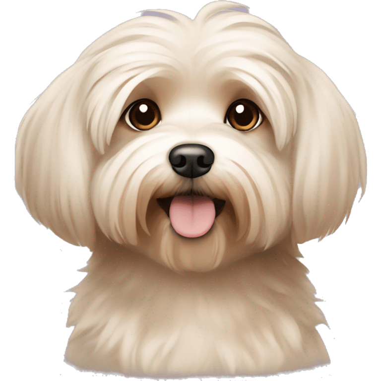 Short hair, beige Havanese dog sitting emoji