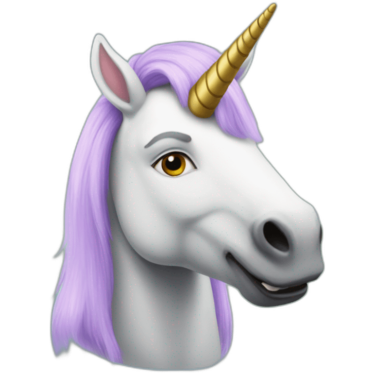 unicorn shrek emoji