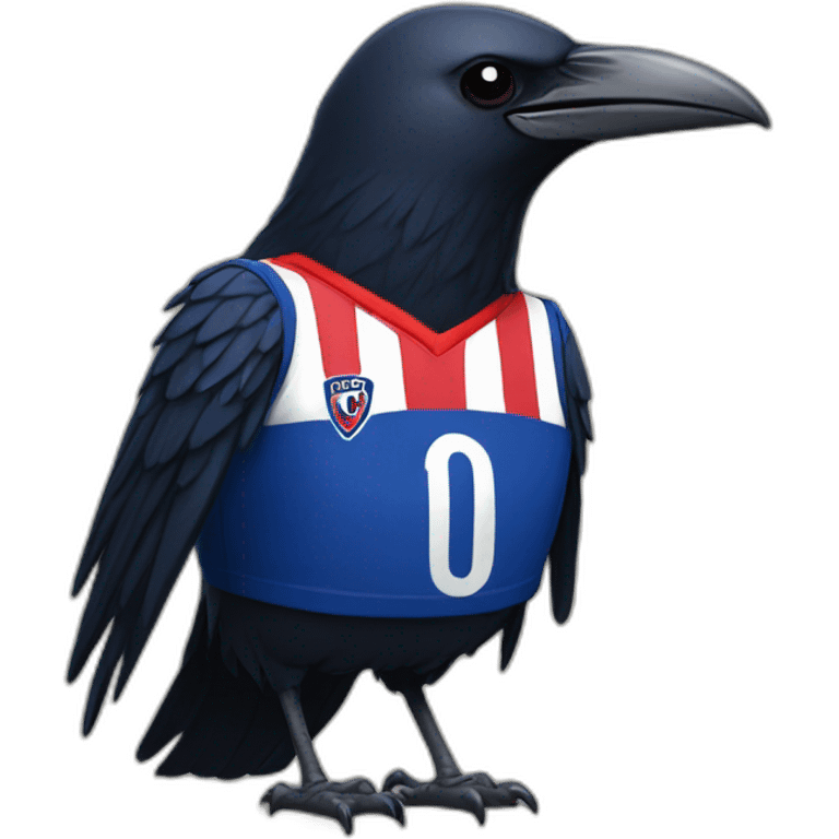 a crow wearing a san lorenzo soccer shirt emoji