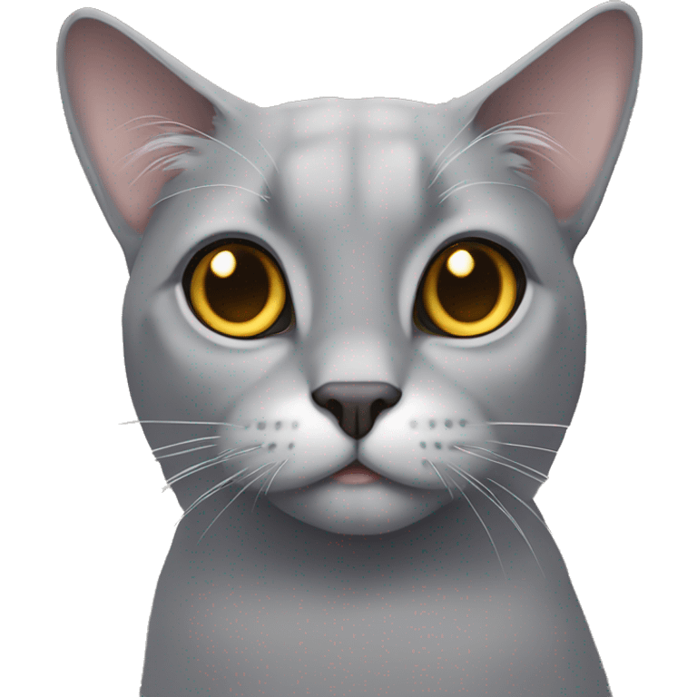 grey lop-eared cat with golden eyes emoji