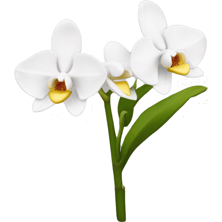 Orquídea blanca  emoji