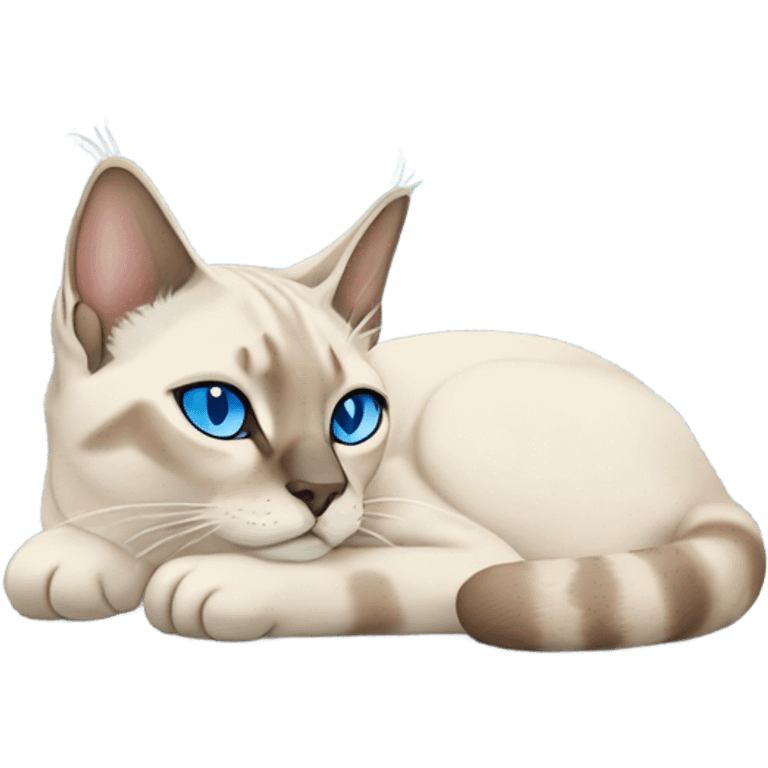 Lynx point Siamese cat with blue eyes sleeping  emoji