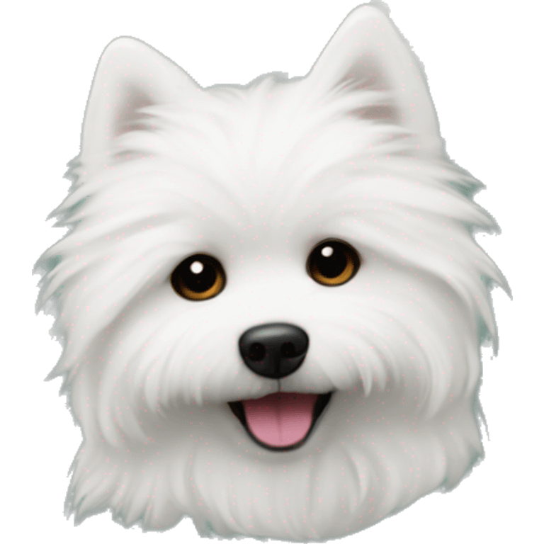 white fluffy dog in a flowered T-shirt emoji